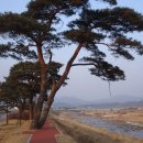 윗밤숲 Daum카페