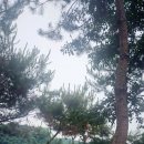 해지개5 이미지