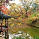 아늑호텔 세종B 이미지