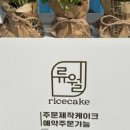 Ryuwol 네이버블로그