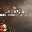 성결대학교 신학전문대학원 Daum카페