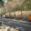 도구머리공원 이미지