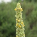 미술관로 이미지