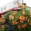 진선미화원