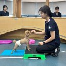 구미정통닭 이미지