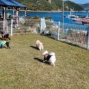 영운스테이오션뷰펜션 이미지