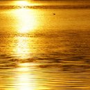 사계여행 이미지