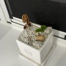 (주)그랑제때 | 11월 둘째 주의 발레 기록