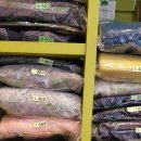크린토피아구로동아한신점
