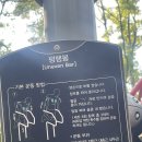 도원근린공원 이미지