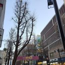 쌈지길 티스토리