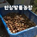 대인농장4 이미지