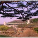 하늘관