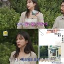 하니2 뉴스엔