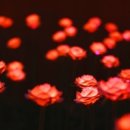 별빛나라펜션 이미지