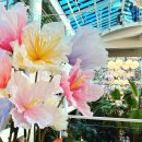 연수꽃식물원 | 인천 송도 포레스트 아웃팅스 대형 식물원 카페 놀면서 사진 찍기 좋은 곳