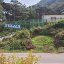 명성솔빛요양원 앞 이미지