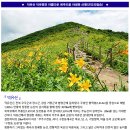 ♣7/16(일)덕유산 원추리 비비추 야생화 산행(곤도라) 이미지