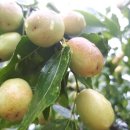 (주)삼우메디안 이미지