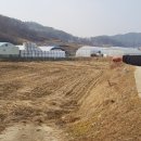 안심2리 이미지