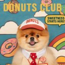 김포애견클럽 이미지