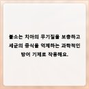 신촌고운미소치과의원 | 입안 환경을 개선하는 올바른 양치질의 과학