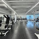 바디다짐 이미지