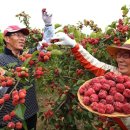 지리산꾸지뽕농장 이미지