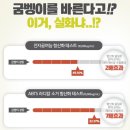[굼벵이크림추천] 굼이 지나간 자리는 다르다. (헬씨팜코리아, 망고씨드버터, BSASM, 뷰티아이돌...