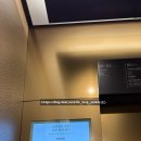 고기는내가쏜다 | [수원 스타필드 차이797 Chai 797] KLPGA 우승 턱 제대로 쏜다! 5만원 이상 결제하고 유린기 서비스...