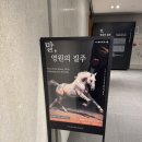 영원청과 | [전시] 말, 영원의 질주 - 2026 붉은말의 해 특별전 관람 후기