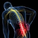 비비드짐 이미지