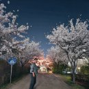 홈플러스옆길 이미지