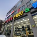 이츠펫 두정점 네이버블로그