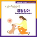 보다물산 | 四字成語 총정리 <ㄱ> 1166 급탄설비~긍정소구