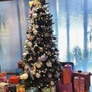 드림아이의원 이미지