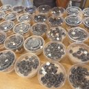 고재영빵집 이미지