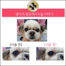 벤지동물병원 이미지