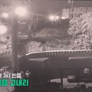 제주도 애월읍 쏘나타 전복 사망사고 CCTV공개 이미지