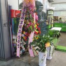 오토오아시스 정릉점 이미지