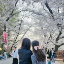 지평선중학교 이미지