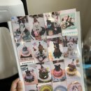 뚜드림 수원점 | 수원 펫푸드수업 애견수제간식 원데이클래스 뚜드림 강아지 김밥