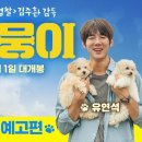 멍뭉이 Daum카페