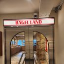 베이글랜드 성수점(Bagel Land) | 성수 베이글랜드 bagel land 내돈내산 후기