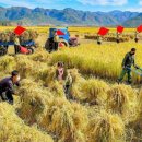 곡은농장 이미지