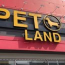 도그랜드 이미지