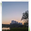 아담행정사 이미지