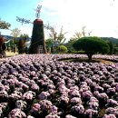 황산공원 이미지