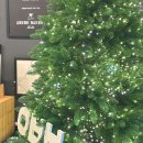 영실농장 | 제주 동문시장 맛집 아베베베이커리 재방문 후기 웨이팅 정보