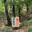 청솔한옥 | 맛집] 서울 북한산 백숙맛집 뚜벅이 추천 - 청솔집 / 은평한옥마을 주차가능카페 - 로맨티카 내돈내산후기